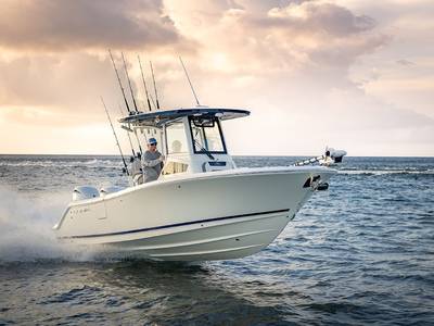 cobia 245 cc boat on water